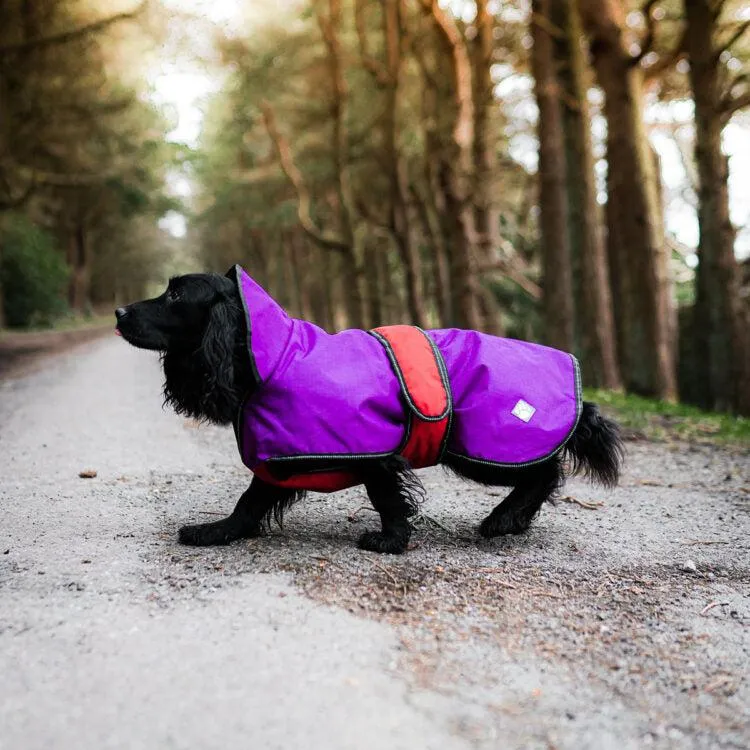 Danish Design - The Ultimate 2 in 1 Waterproof and Fleece Dog Coat - Purple